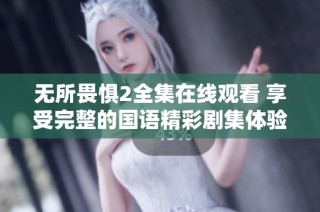 无所畏惧2全集在线观看 享受完整的国语精彩剧集体验