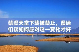 禁漫天堂下载被禁止，漫迷们该如何应对这一变化才好