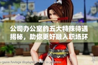公司办公室的五大特殊待遇揭秘，助你更好融入职场环境与文化