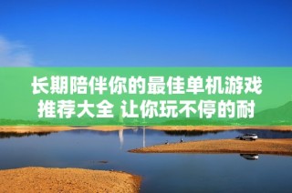 长期陪伴你的最佳单机游戏推荐大全 让你玩不停的耐玩游戏排行榜