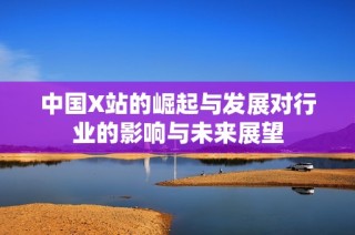 中国X站的崛起与发展对行业的影响与未来展望