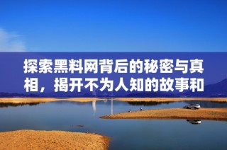 探索黑料网背后的秘密与真相，揭开不为人知的故事和内幕解析