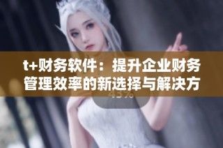 t+财务软件：提升企业财务管理效率的新选择与解决方案