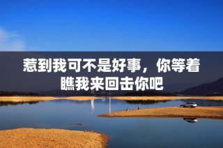 惹到我可不是好事，你等着瞧我来回击你吧