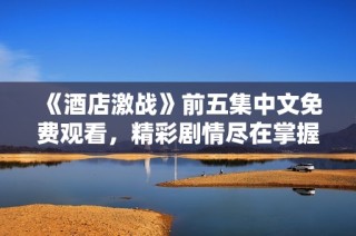 《酒店激战》前五集中文免费观看，精彩剧情尽在掌握！