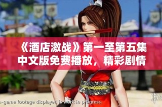 《酒店激战》第一至第五集中文版免费播放，精彩剧情尽在掌握中
