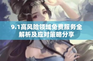 9.1高风险领域免费服务全解析及应对策略分享