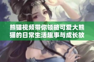 熊猫视频带你领略可爱大熊猫的日常生活趣事与成长故事