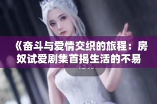 《奋斗与爱情交织的旅程：房奴试爱剧集首揭生活的不易与选择》