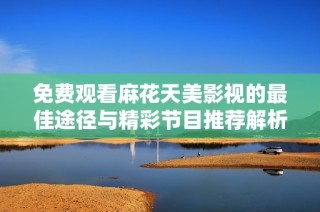 免费观看麻花天美影视的最佳途径与精彩节目推荐解析