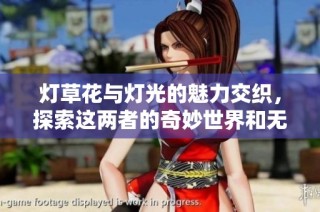 灯草花与灯光的魅力交织，探索这两者的奇妙世界和无限可能