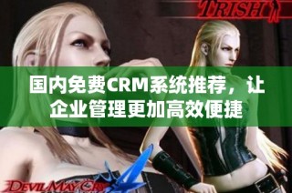 国内免费CRM系统推荐，让企业管理更加高效便捷