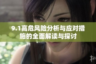 9.1高危风险分析与应对措施的全面解读与探讨