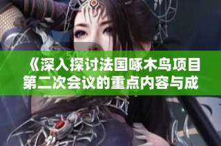 《深入探讨法国啄木鸟项目第二次会议的重点内容与成果摘要》