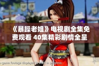 《暴躁老姐》电视剧全集免费观看 40集精彩剧情全呈现