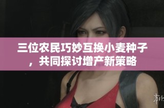 三位农民巧妙互换小麦种子，共同探讨增产新策略