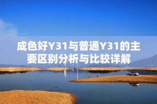 成色好Y31与普通Y31的主要区别分析与比较详解