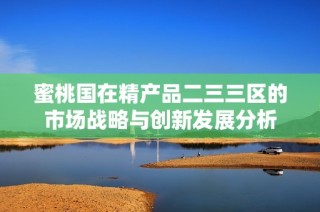蜜桃国在精产品二三三区的市场战略与创新发展分析