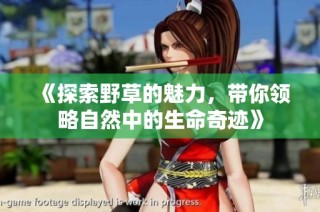 《探索野草的魅力，带你领略自然中的生命奇迹》