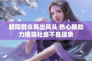 朝阳群众再出风头 热心肠助力揭露社会不良现象
