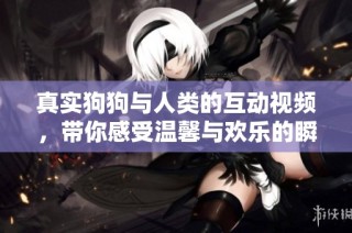 真实狗狗与人类的互动视频，带你感受温馨与欢乐的瞬间