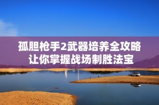 孤胆枪手2武器培养全攻略 让你掌握战场制胜法宝
