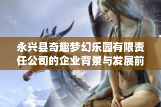 永兴县奇趣梦幻乐园有限责任公司的企业背景与发展前景分析