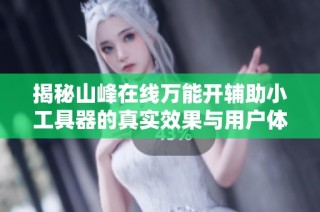 揭秘山峰在线万能开辅助小工具器的真实效果与用户体验