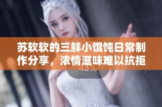 苏软软的三鲜小馄饨日常制作分享，浓情滋味难以抗拒