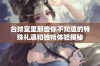 台球室里那些你不知道的特殊礼遇和独特体验揭秘
