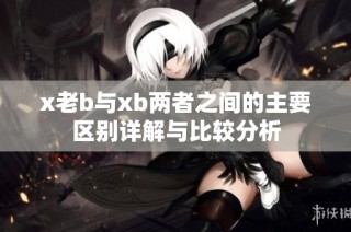 x老b与xb两者之间的主要区别详解与比较分析