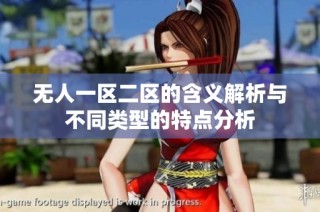 无人一区二区的含义解析与不同类型的特点分析