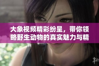 大象视频精彩纷呈，带你领略野生动物的真实魅力与精彩瞬间