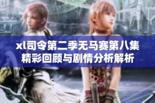 xl司令第二季无马赛第八集精彩回顾与剧情分析解析