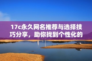 17c永久网名推荐与选择技巧分享，助你找到个性化的网名