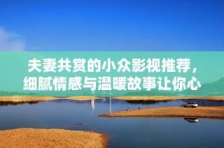夫妻共赏的小众影视推荐，细腻情感与温暖故事让你心灵契合
