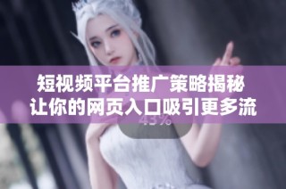 短视频平台推广策略揭秘 让你的网页入口吸引更多流量