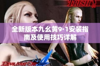 全新版本九幺黄9·1安装指南及使用技巧详解