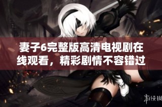 妻子6完整版高清电视剧在线观看，精彩剧情不容错过