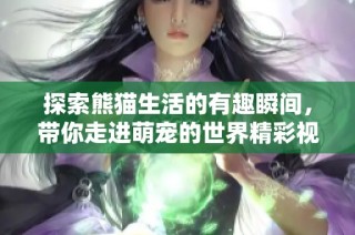 探索熊猫生活的有趣瞬间，带你走进萌宠的世界精彩视频合集