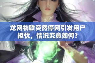 龙网物联突然停网引发用户担忧，情况究竟如何？