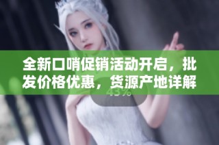 全新口哨促销活动开启，批发价格优惠，货源产地详解！