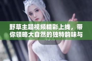 野草主题视频精彩上线，带你领略大自然的独特韵味与魅力