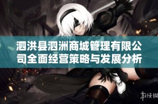 泗洪县泗洲商城管理有限公司全面经营策略与发展分析