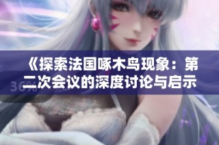 《探索法国啄木鸟现象：第二次会议的深度讨论与启示》