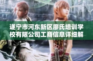 遂宁市河东新区廖氏培训学校有限公司工商信息详细解析与分析