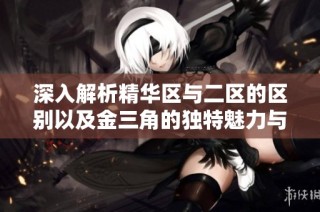 深入解析精华区与二区的区别以及金三角的独特魅力与价值