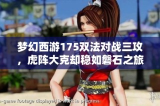 梦幻西游175双法对战三攻，虎阵大克却稳如磐石之旅