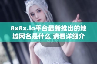 8x8x.io平台最新推出的地域网名是什么 请看详细介绍