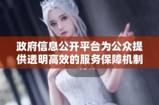 政府信息公开平台为公众提供透明高效的服务保障机制